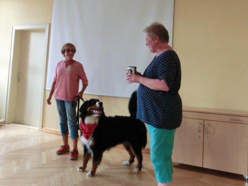 2017_08_08_hundestunde (2).jpg